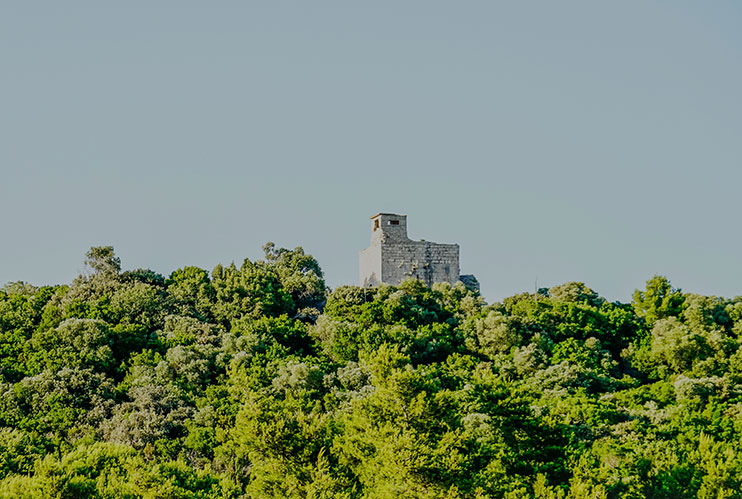 Isla Vrnik