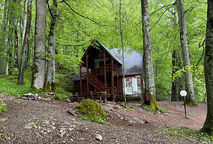 Centro de visitantes de Biogradska Gora