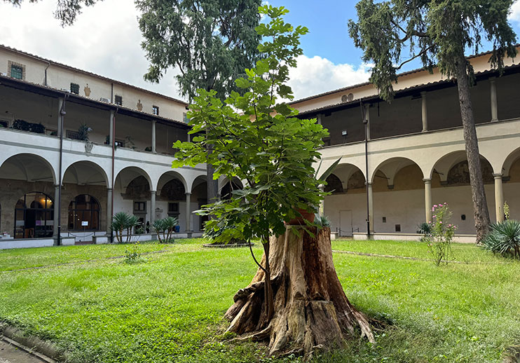 Claustro de la capilla Brancacci