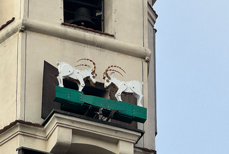 Cabritos de Poznań