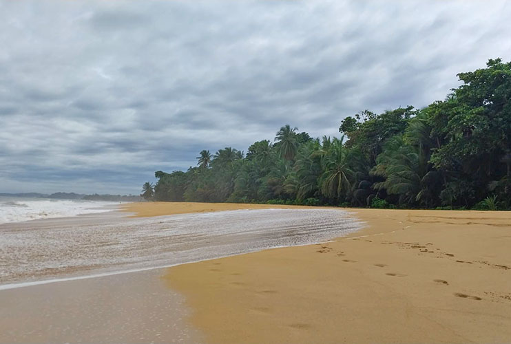 Qué ver en Bocas del Toro: playa Bluff