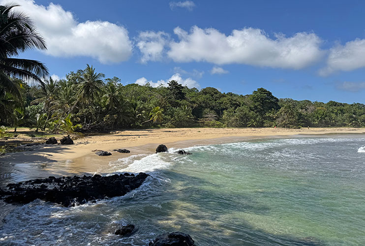 Playa Red Frog