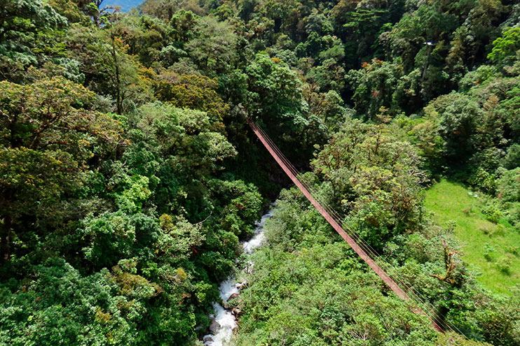 Qué hacer en Boquete: Boquete Tree Trek
