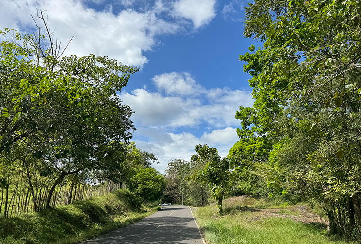 Conducir en Panamá