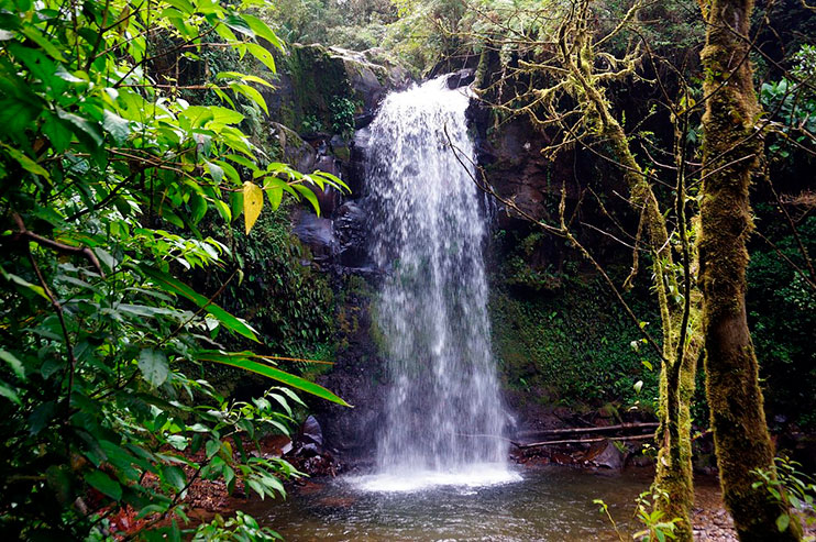 Qué ver en Boquete: cascada escondida