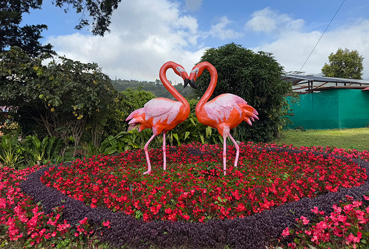 Feria de las flores y del café de Boquete