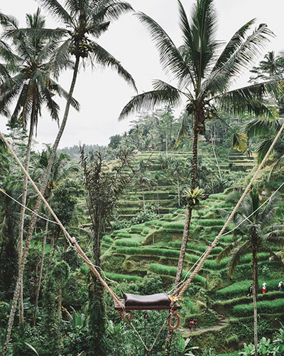 Columpios de Ubud
