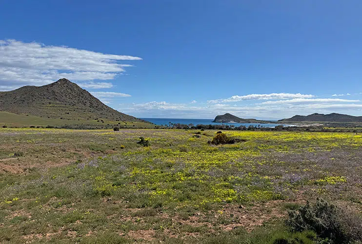 Playa de los Genoveses
