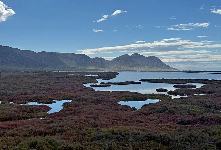 Salinas de Cabo de Gata