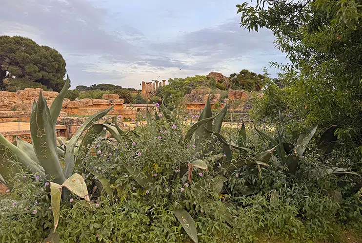 Cómo visitar el Valle de los templos de Agrigento