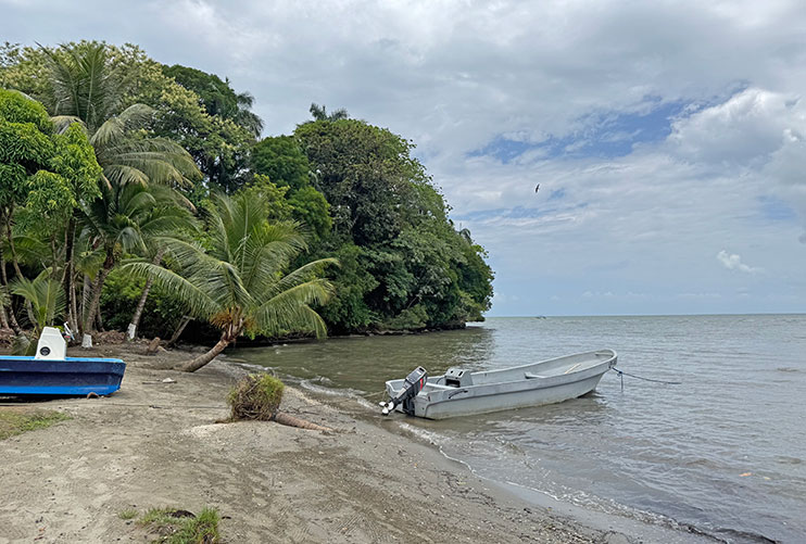 Playas de Livinsgton: La capitanía