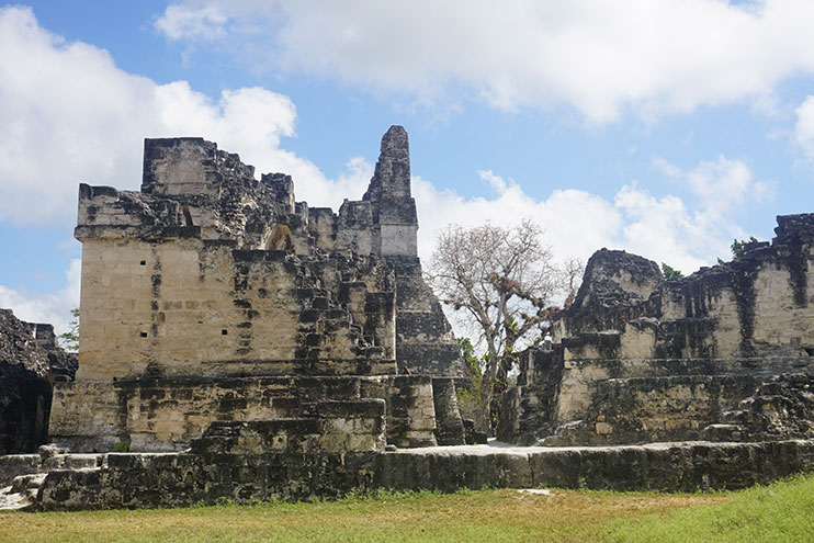 Cómo visitar Tikal