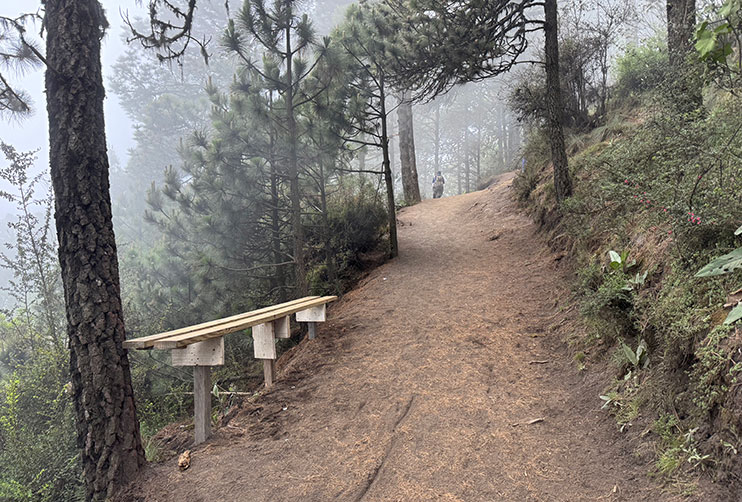 Camino de ascenso al volcán Acatenango