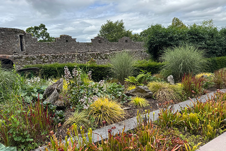 Plantas carnívoras en el castillo de Blarney
