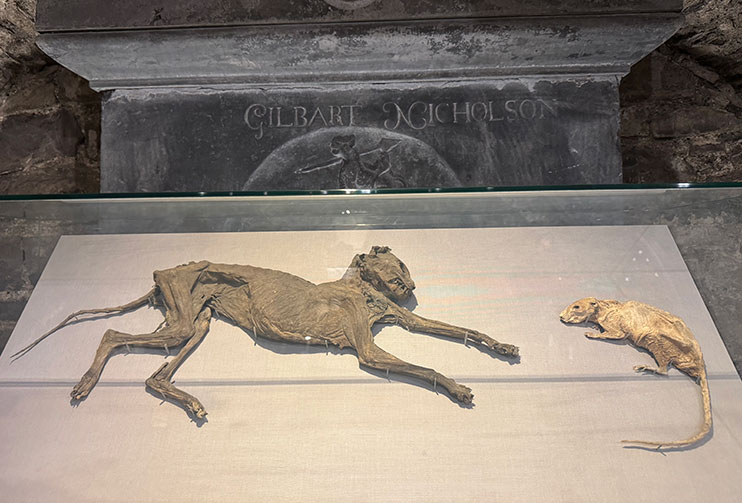 Momia del gato y el ratón