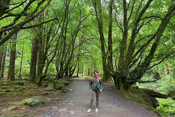 Parque Nacional de Killarney