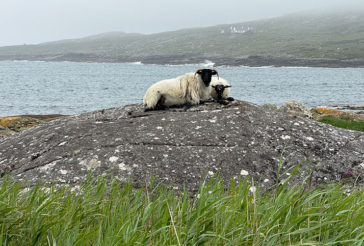 Qué ver en Connemara