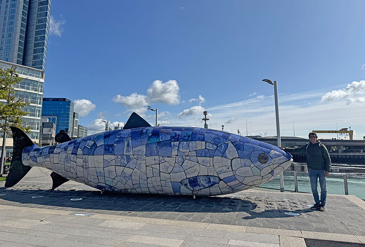 Donegall quay