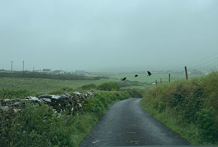 Qué hacer en Dingle: Slea head drive