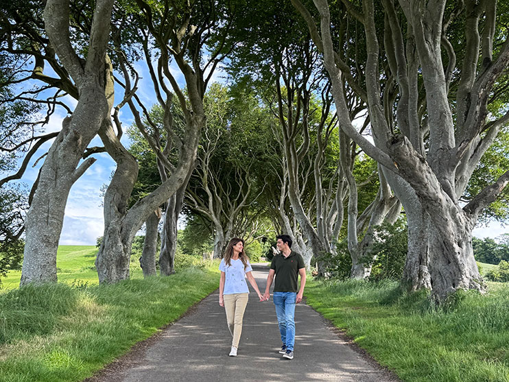 The Dark hedges