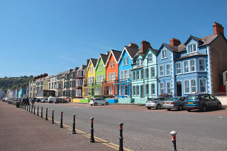 Whitehead