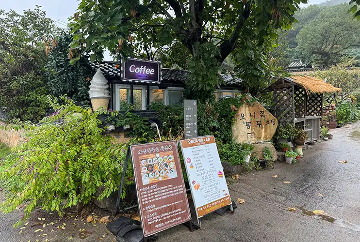 Dónde comer en Yangdong