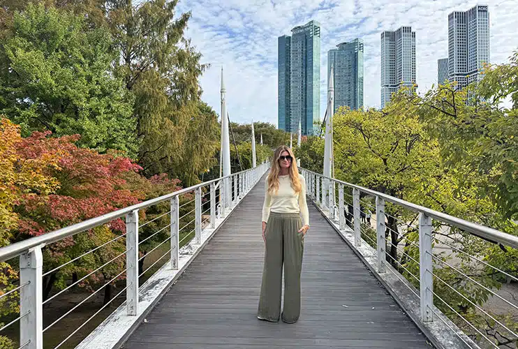 Qué hacer en Seúl: Seúl forest