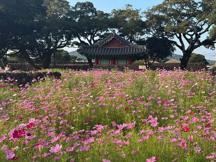Aldea folclórica Seongeup en Jeju