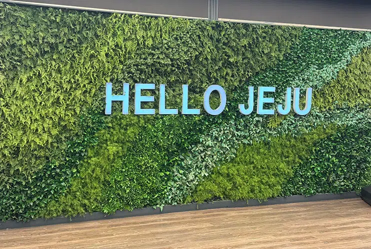 Cómo llegar a la isla de Jeju