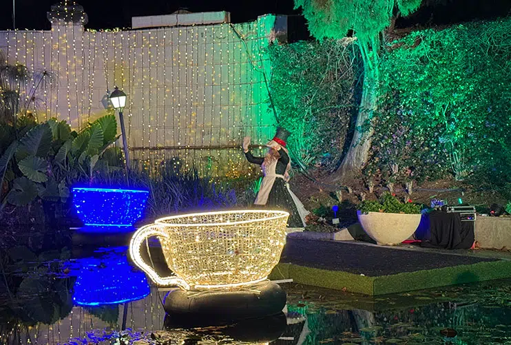 Luces navideñas en el jardín botánico de Málaga