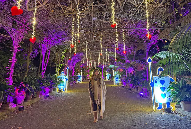 Luces navideñas en el jardín botánico de Málaga